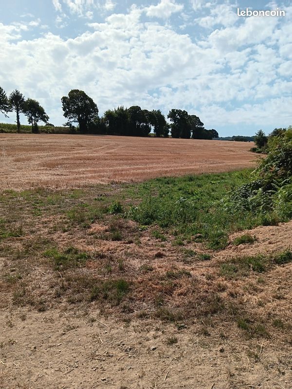 Terres agricoles · à Juvigny les Vallées · 15 000 €