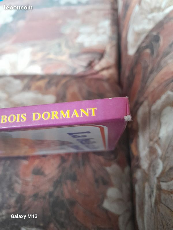 Les plus beaux contes La belle au bois dormant Whitman (image 3)