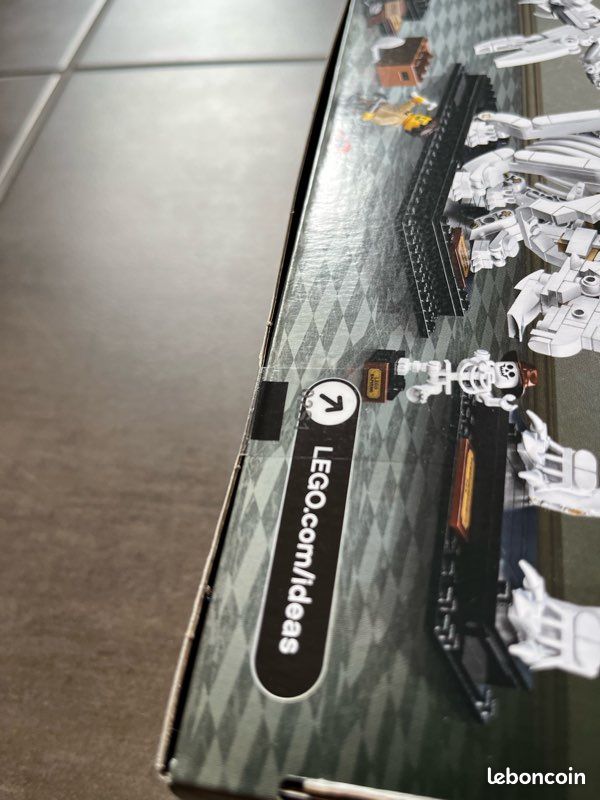 LEGO Ideas - 21320 - Jurassic Les fossiles de dinosaures (image 3)