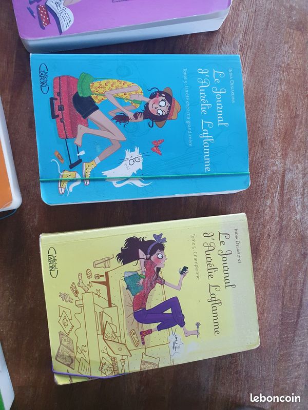 Lot livre le journal d'aurelie laflamme (image 14)