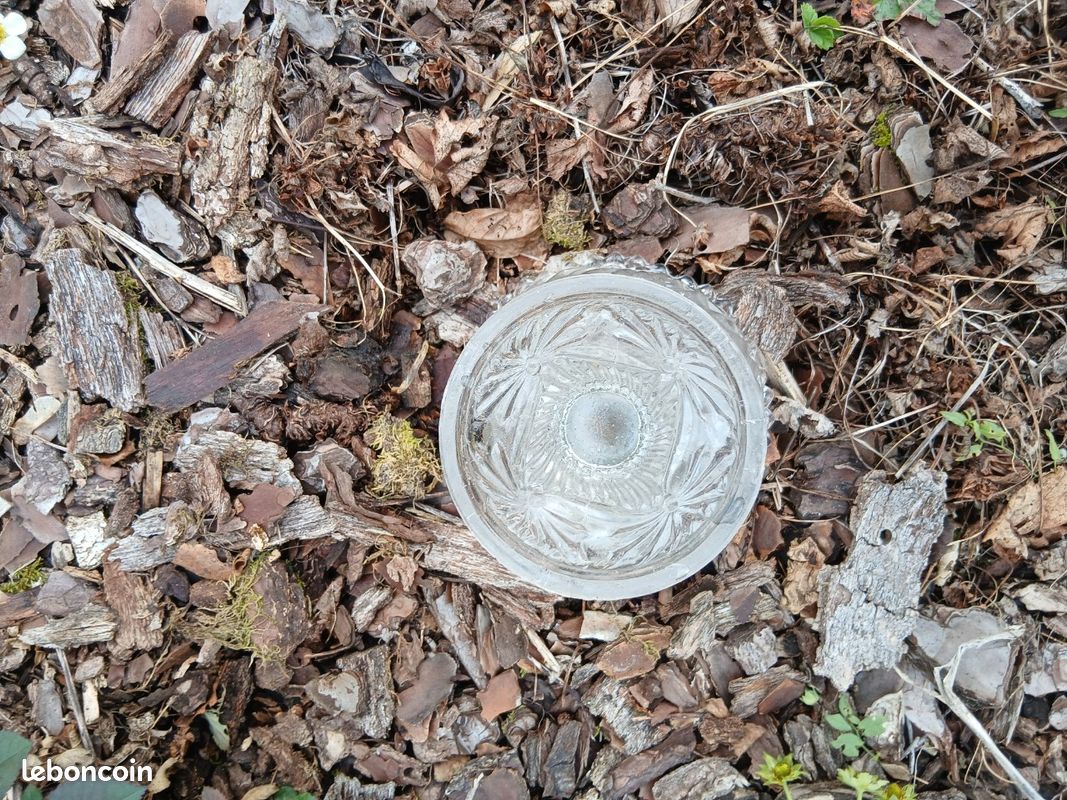Ancienne petite coupe sur pied (image 8)