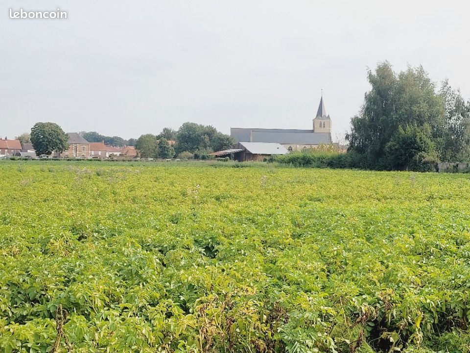 Terrain 430 m² · à Audruicq · 73 000 €