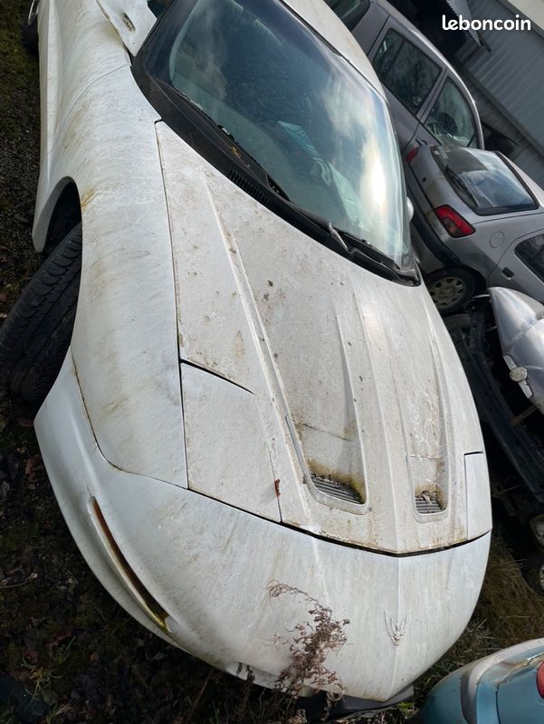 Pontiac firebird americain sorti de grange (image 1)