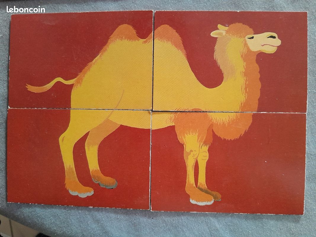 Puzzle cartes zoo (image 3)