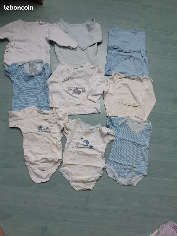 Lot de 9 bodies 12 mois (image 1)