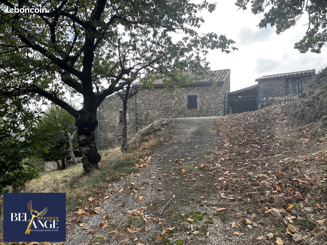 Maison 15 pièces 300 m² · à Chazeaux · 300 m² · 265 000 €