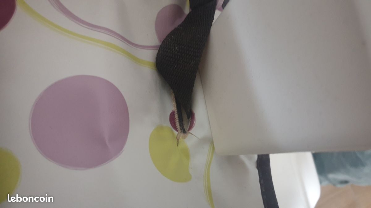 Chaise haute (image 8)