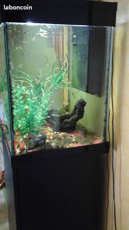 Aquarium (image 2)