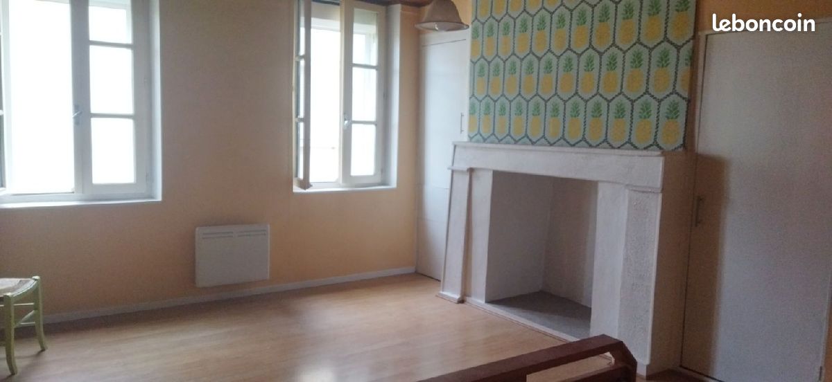 A louer maison Tonneins centre ville - Tonneins 47400 (image principale 0)