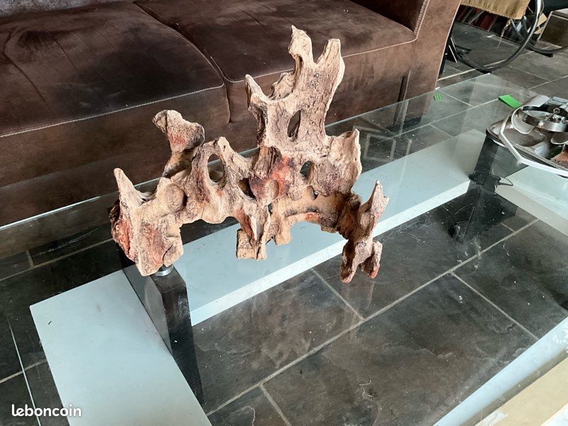 Déco, aquarium (image 3)