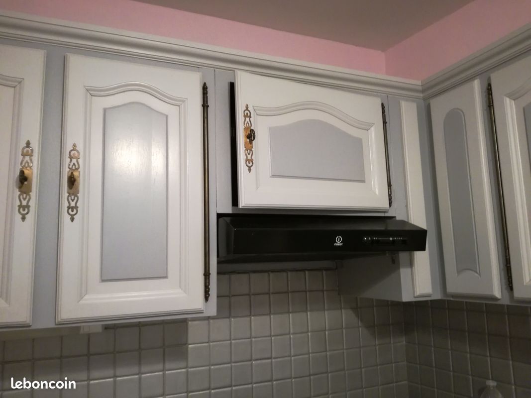 Portes de cuisine en chêne peintes (image 3)