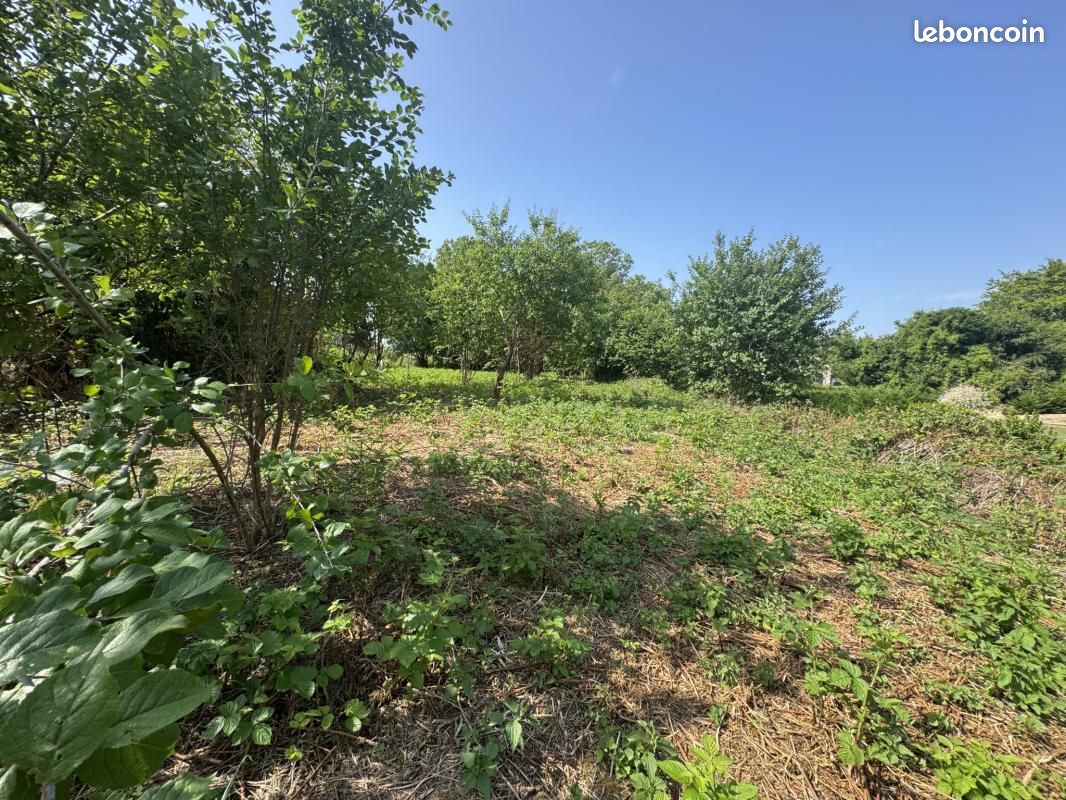 Terrain 320 m² Talence · 270 000 €