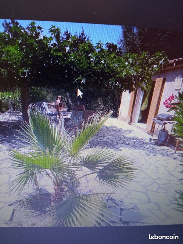 Location de villa (image 4)