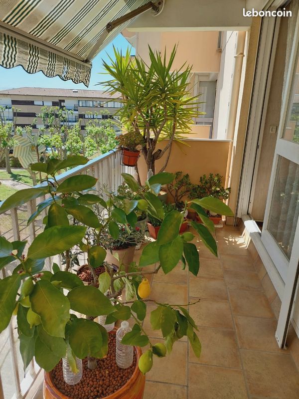 Appartement 4 pièces 87 m² · à Nîmes · 87 m² · 175 000 €