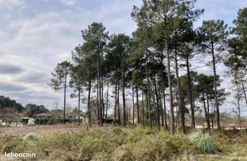 Terrain 600 m² · à Brach · 113 000 €