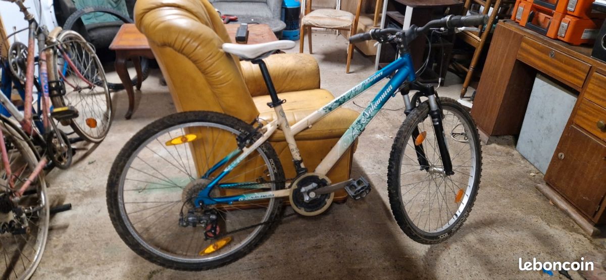 VTT 26 pouces pour homme (image 1)