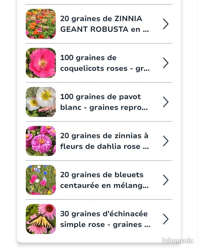 Lot de graines pour Lionad (image 3)