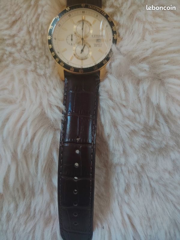Montre Citizen 100th anniversary (image 5)