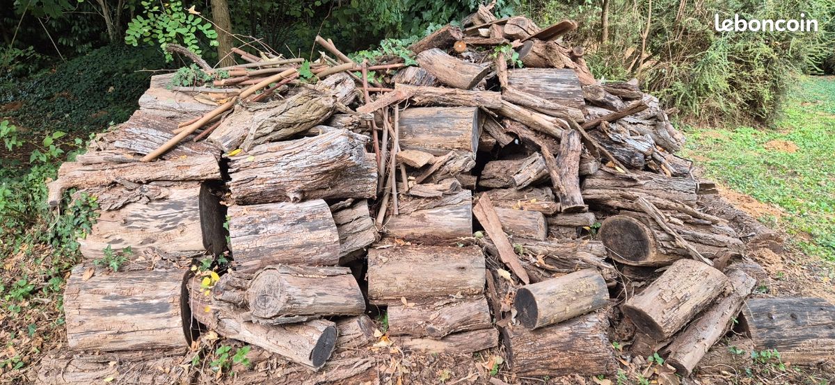 Bois chauffage (image 2)