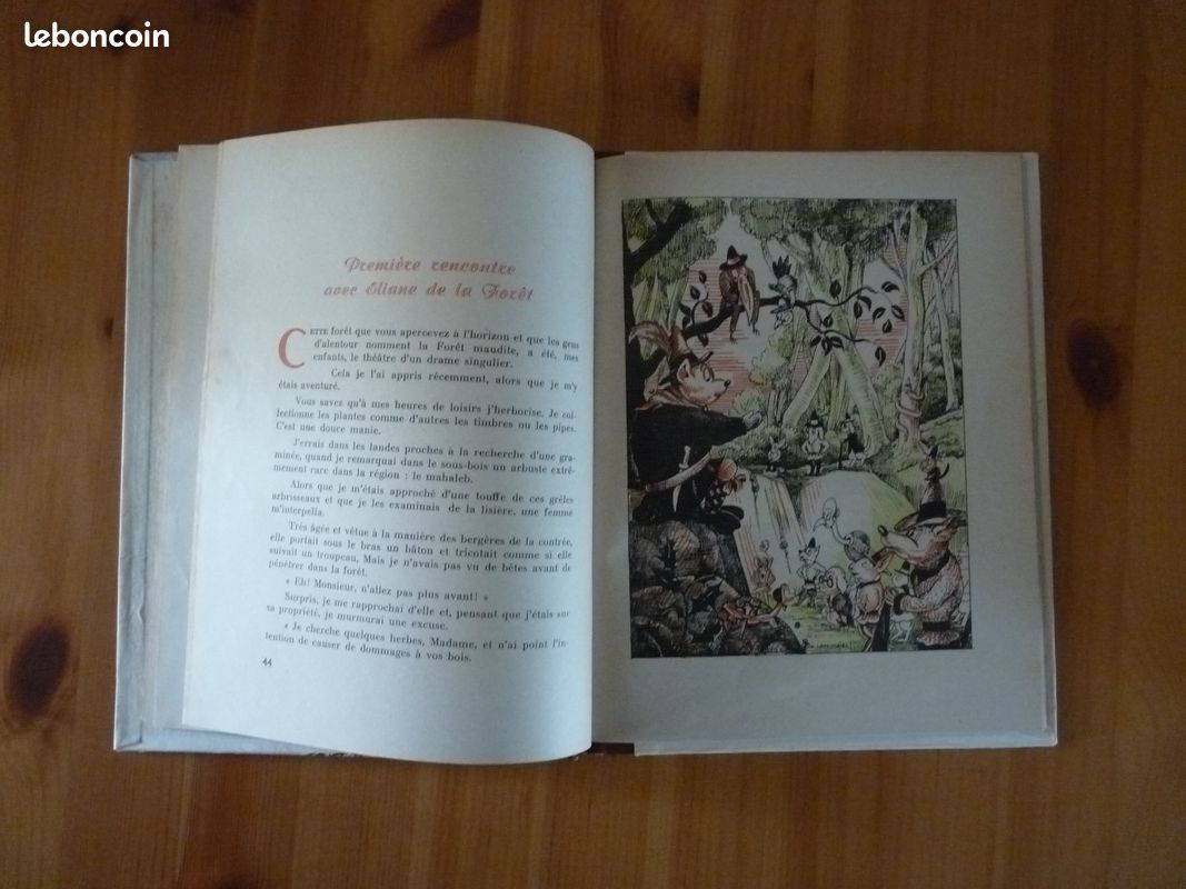 Veillées au clair de lune (image 3)