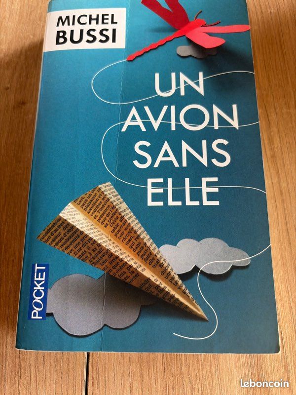 Un avion sans elle (image 1)