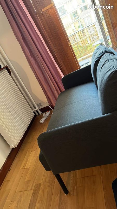 Petit canape gris 2 places (ikea) urgent - paris (image 2)