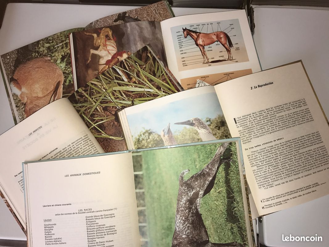 Les Grandes Enigmes du Monde Animal (image 2)