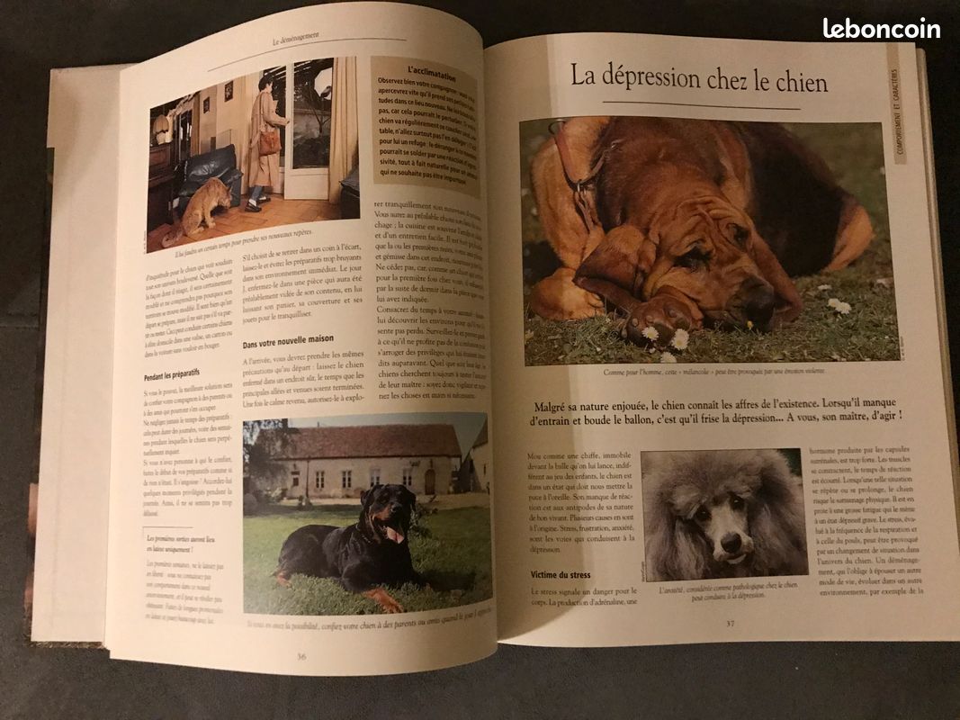 Livre "Atlas Nature Les Chiens" (image 2)