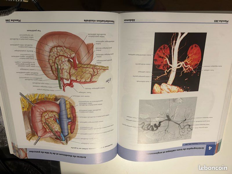 Atlas d’anatomie humaine 6 eme édition . Franck H. Netter MD (image 6)