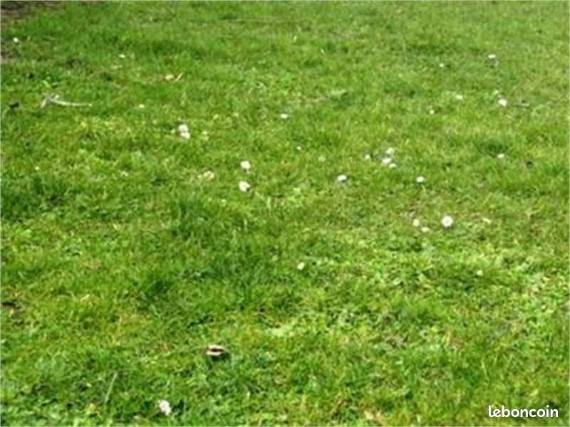 Terrain 901 m² Foussais Payre · à Foussais-Payré · 22 525 €