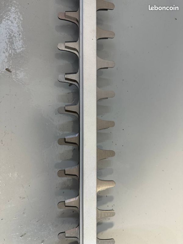 Taille-haie Ryobi | Leroy Merlin