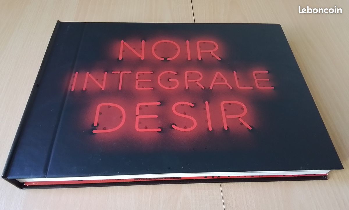 Noir Désir – Intégrale 2020 • Coffret Collector 18 CD + 1 DVD • 200 titres : Albums studio + lives + raretés + inédits • Anthologie complète du rock français [COMPLET] (image 2)