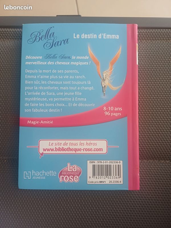 Livre le destin de Sara (image 2)