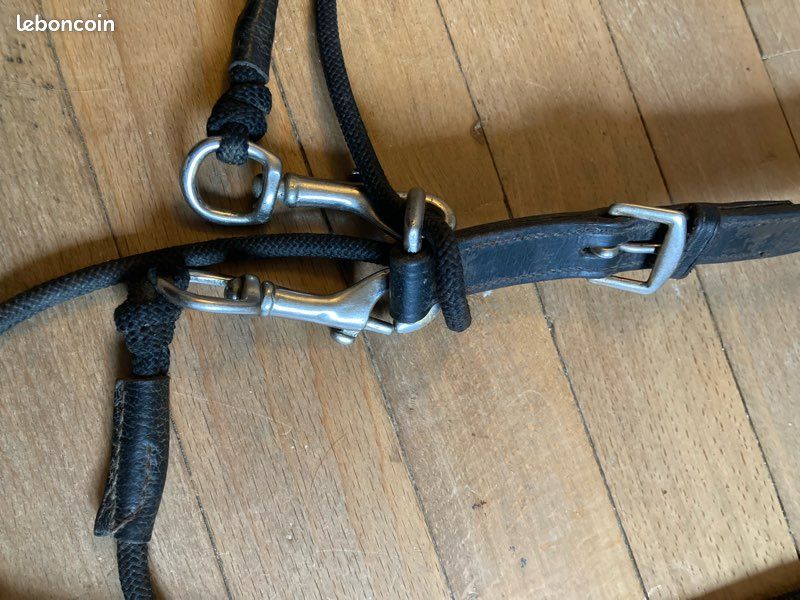 Gogue cheval fouganza (image 3)