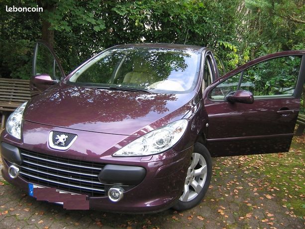 Peugeot307