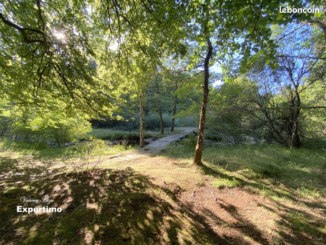 Terrain 161158 m² Le Soulié · 55 000 €