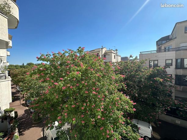 https://img.leboncoin.fr/api/v1/lbcpb1/images/22/2b/33/222b3357c7cb467339e4afe10109d4739660a517.jpg?rule=ad-image