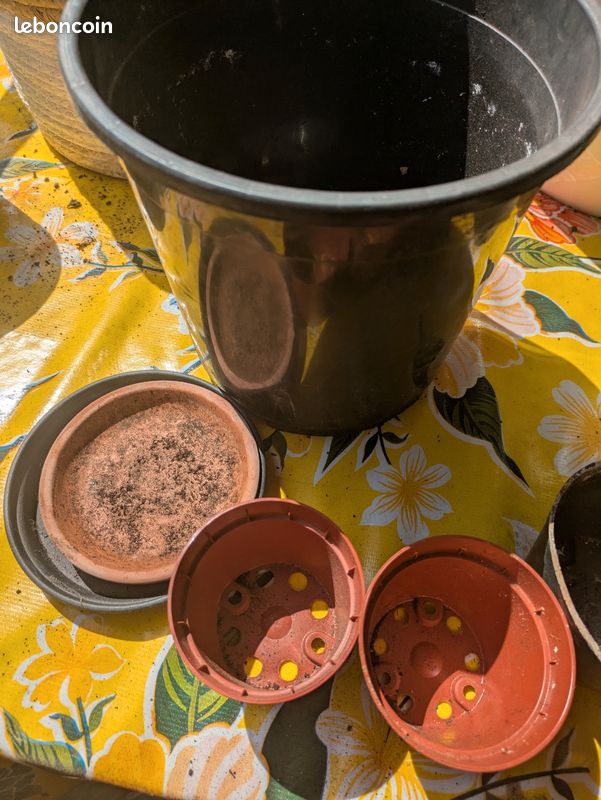 Pots et cache pot plantes (image 7)