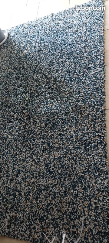 Tapis de salon (image 2)
