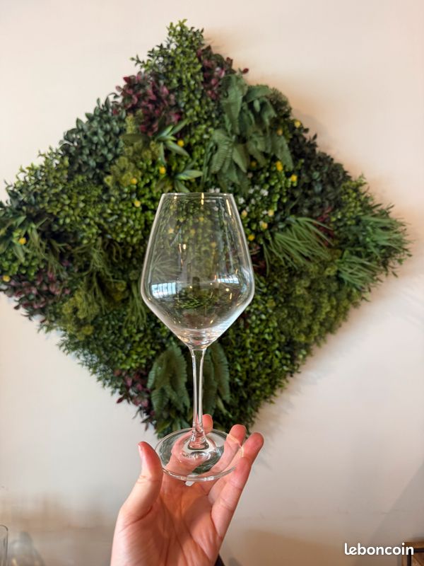 32 verres à vin Languedoc Tritan (image 1)