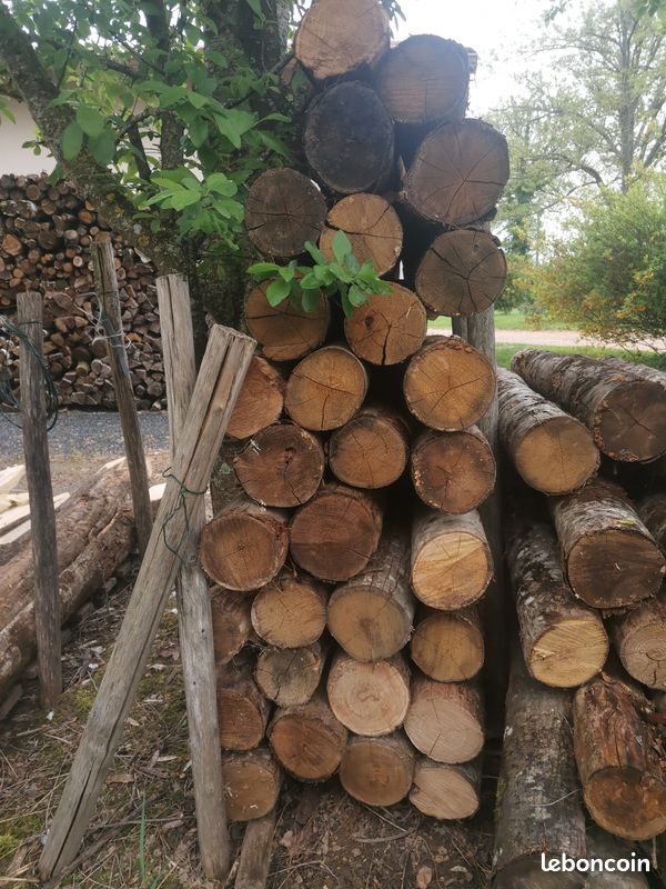 Piquets châtaignier ronds (image 6)