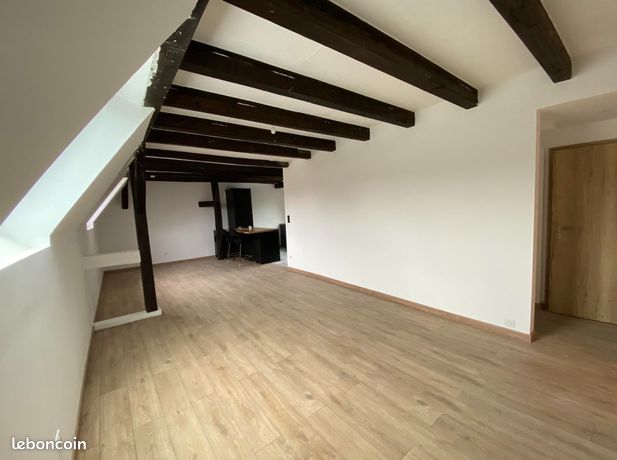 Très beau 4 pièces refait à neuf
