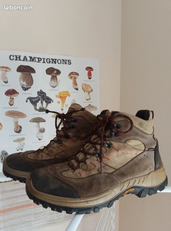 Odac Aldi Chaussures De Marche Chaussures De Randonnée Forclaz 600