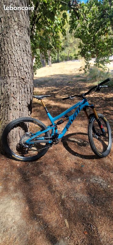 Vtt pivot firebird 2021 (image 1)