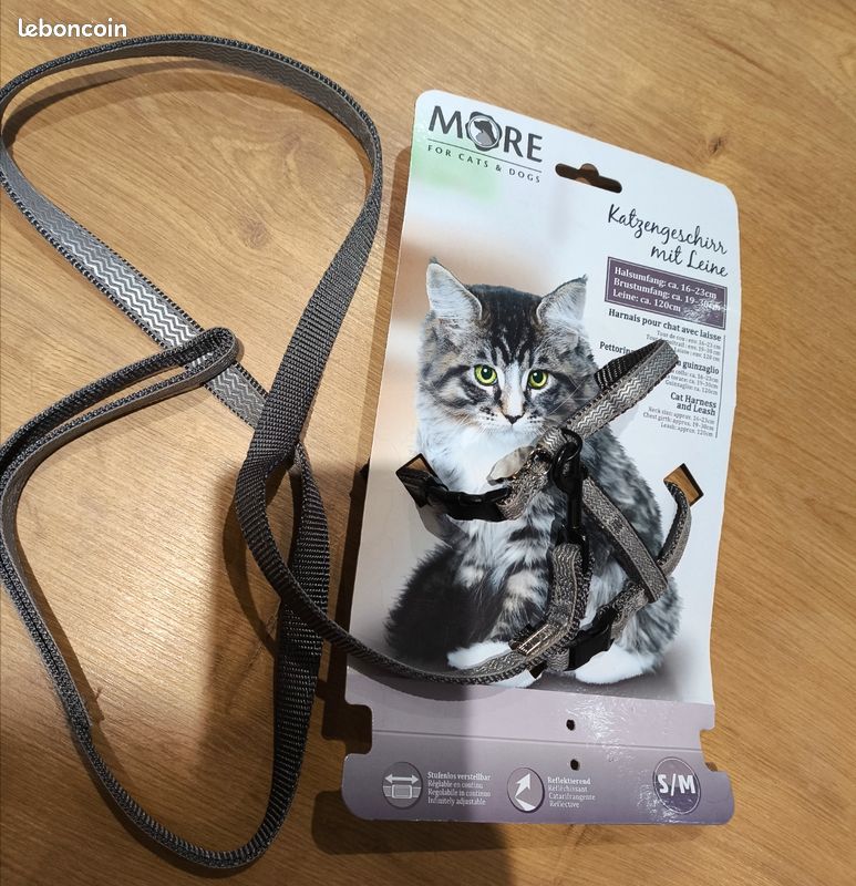 Harnais et laisse pour chat / petit chien (image 1)