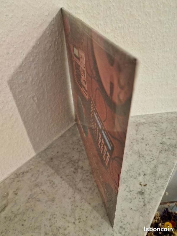 Proleter life playing tricks vinyle rouge hip hop jazz electro français (image 2)