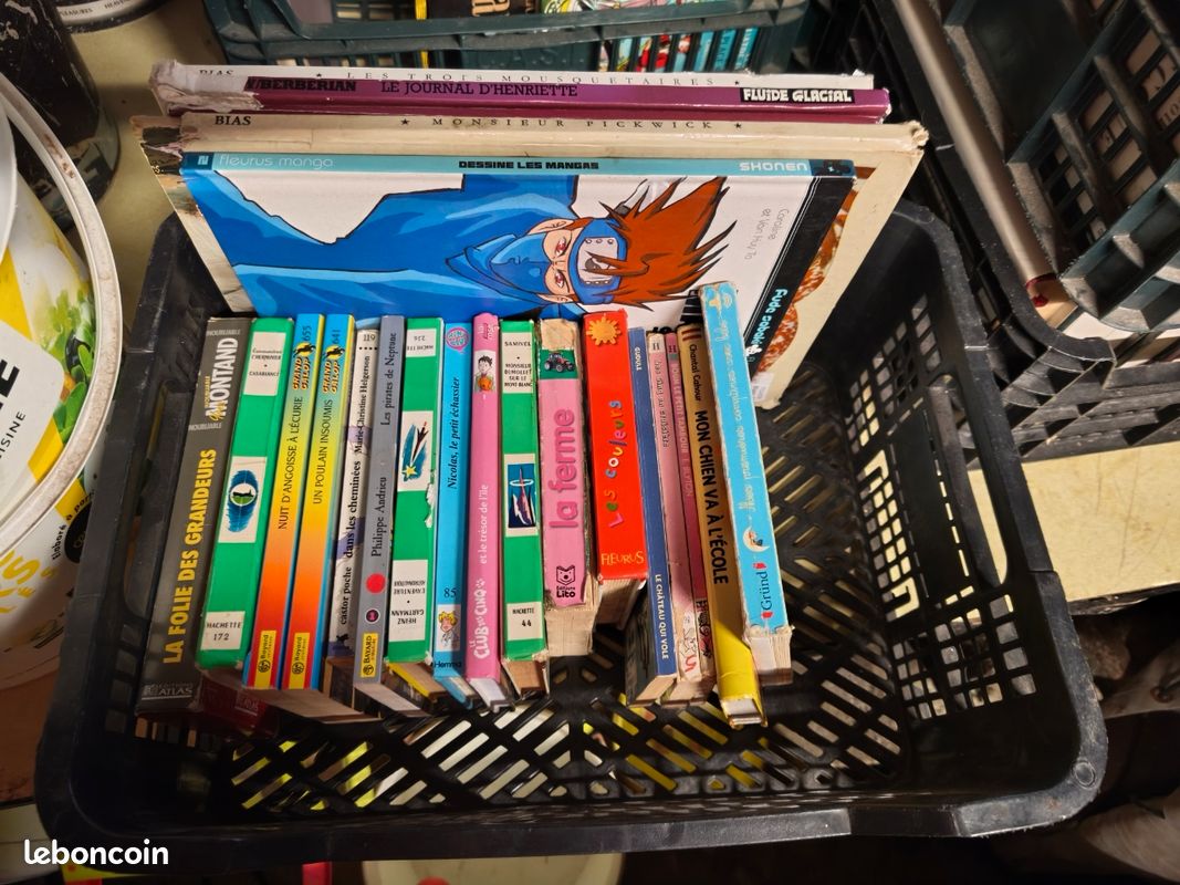 Lot de livres de toute sorte (image 2)