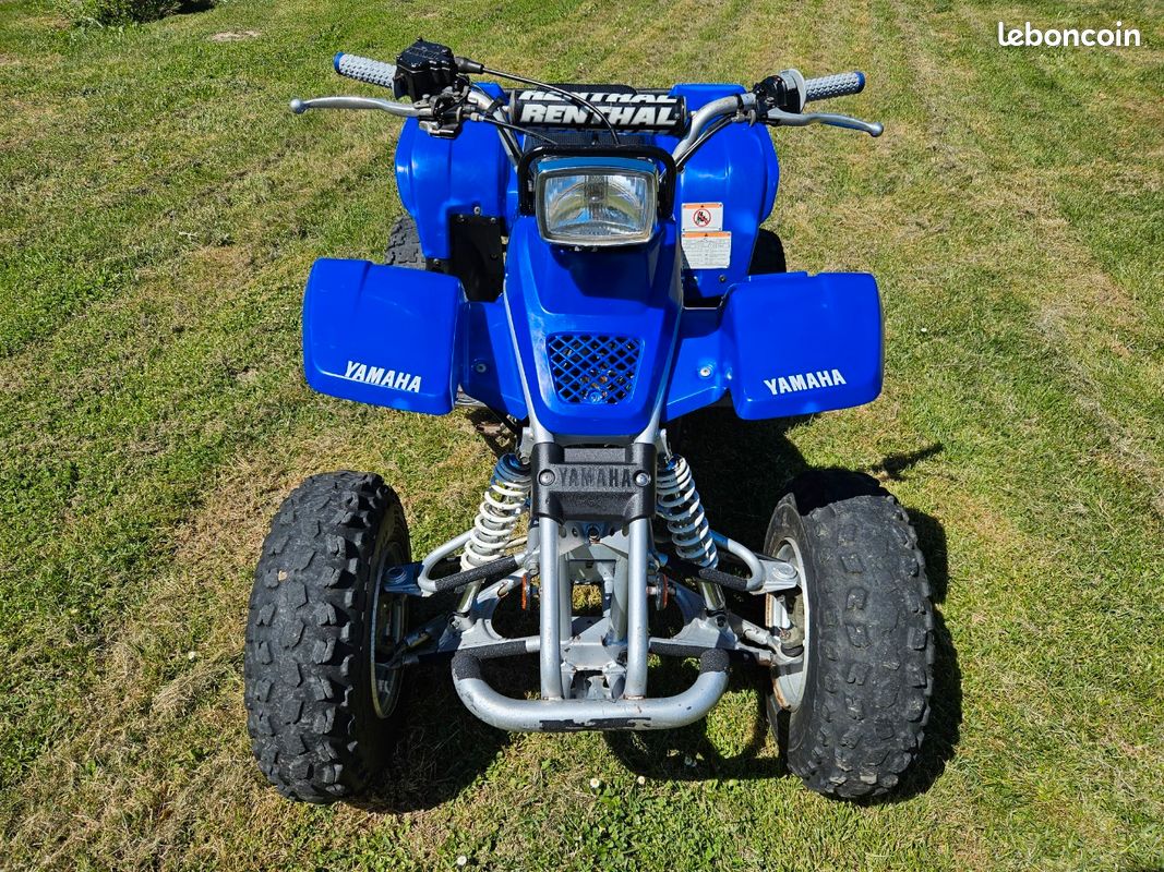 Yamaha 200 blaster (image 3)