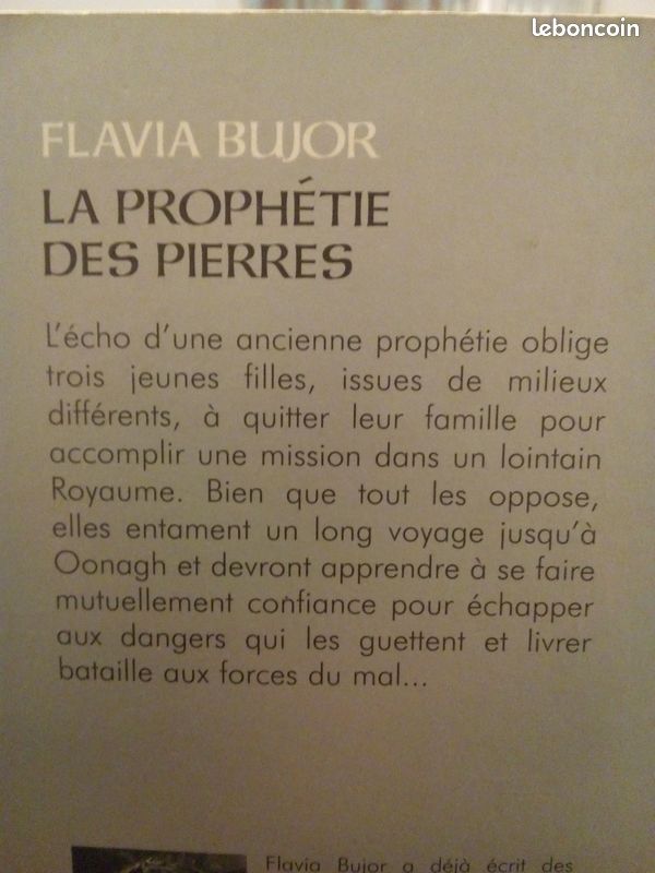 Livres fantasy La prophétie des pierres (image 2)