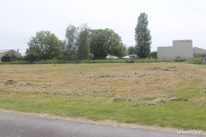 Terrain 1036 m² BOIS